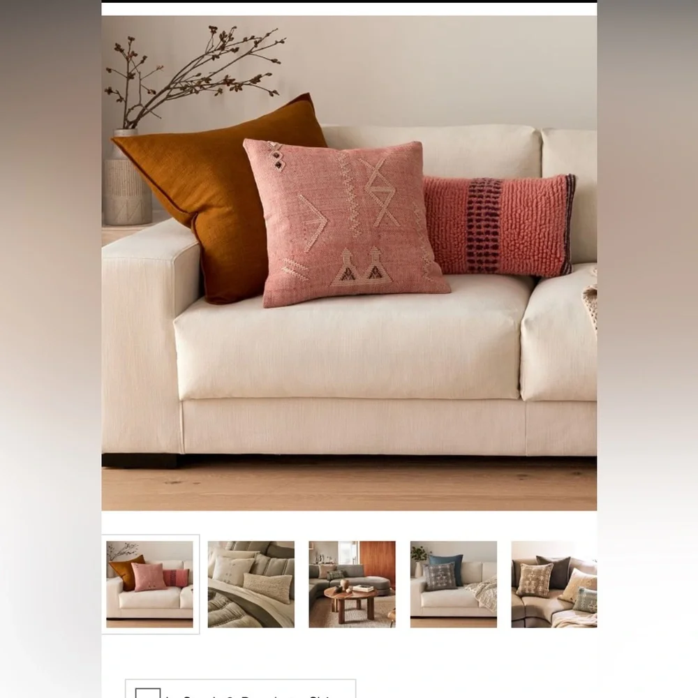 West Elm this pillow